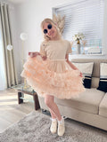 Tulle Dress - Beige